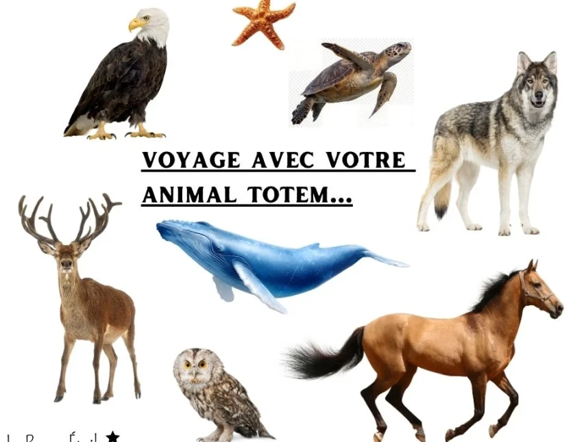 Voyage avec votre Animal Totem