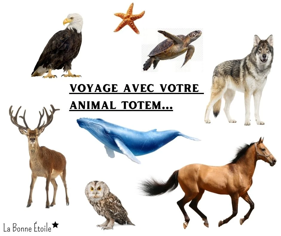 Voyage avec votre Animal Totem